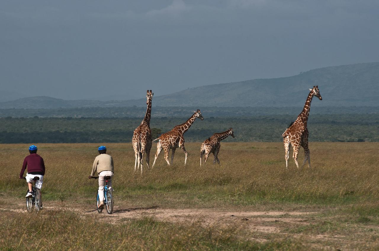 Вилла Kicheche Laikipia Camp Ol Pejeta Conservancy Экстерьер фото