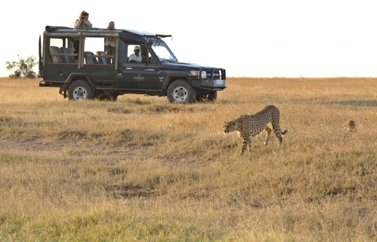Вилла Kicheche Laikipia Camp Ol Pejeta Conservancy Экстерьер фото